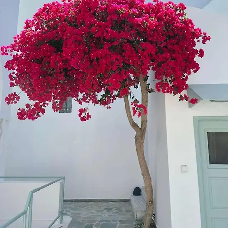 Hotell Lefkothea