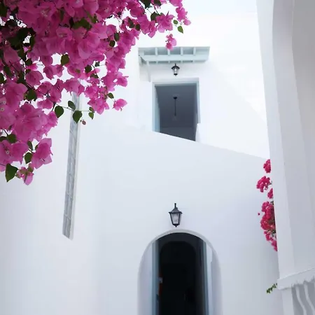 Lefkothea Hotel