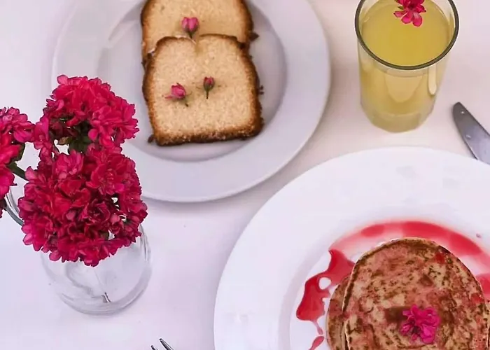 Lefkothea Отель Камари